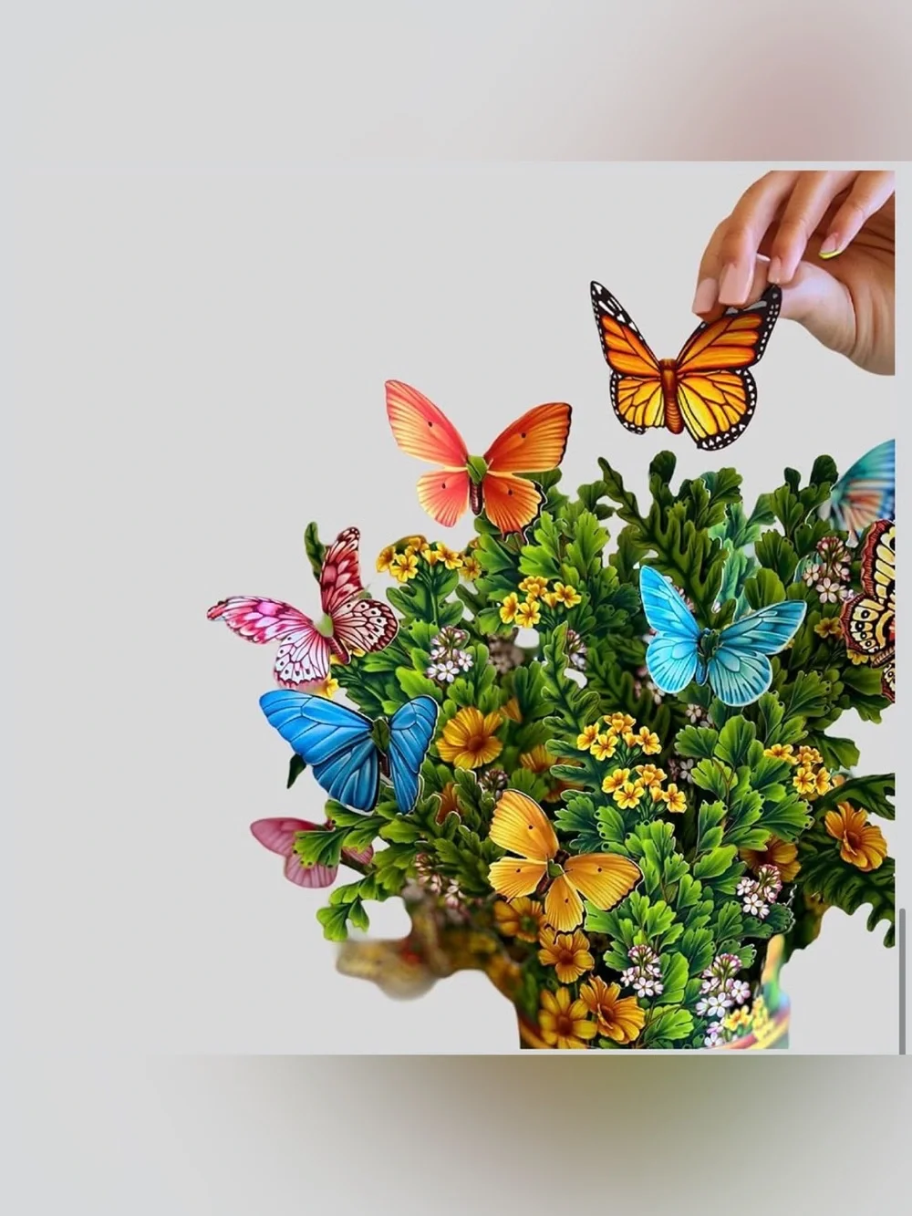 Freshcut Paper Butterflies & Buttercups 12